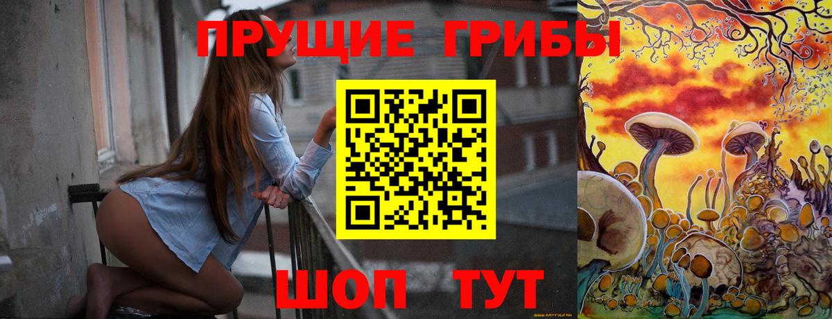 Новый Уренгой  как найти   Вход с VPN  Псилоцибиновые грибы мухоморы 