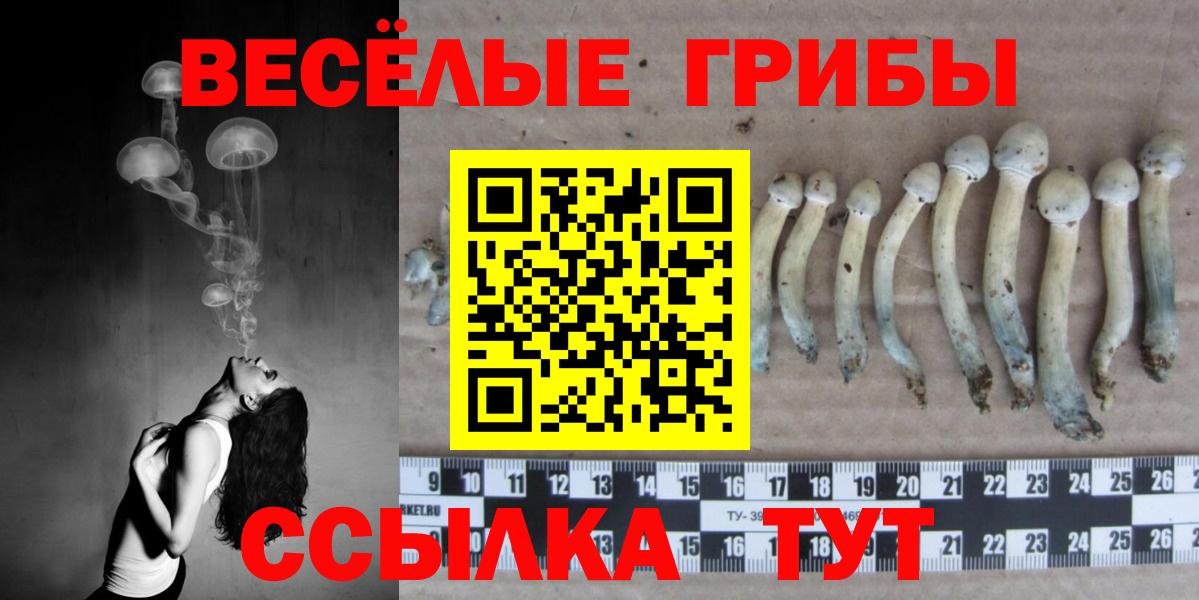 Галлюциногенные грибы Magic Shrooms Новый Уренгой